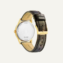 Montre CITIZEN Homme Eco-Drive AW0102-13AE Montres Citizen