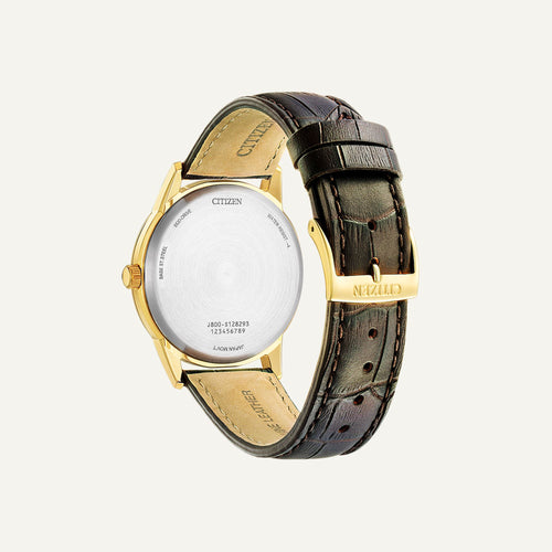 Montre CITIZEN Homme Eco-Drive AW0102-13AE Montres Citizen