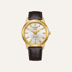 Montre CITIZEN Homme Eco-Drive AW0102-13AE Montres Citizen