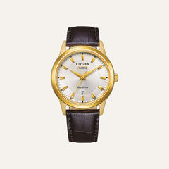Montre CITIZEN Homme Eco-Drive AW0102-13AE Montres Citizen