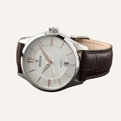 Montre Homme Festina F20426/4 en Cuir Montres Festina