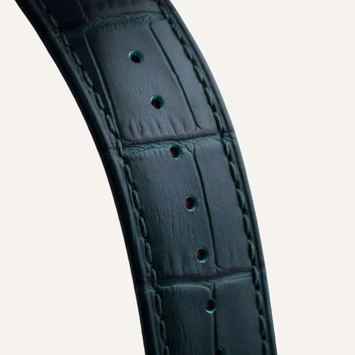 Montre Homme Festina F20426/7 en Cuir Montres Festina