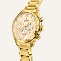 Montre Homme FESTINA F20633/4 Quartz en Acier Doré Montres FESTINA