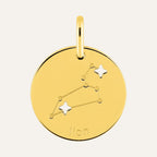 Pendentif Signe Astrologique Lion en Or Jaune Pendentifs Robez Masson