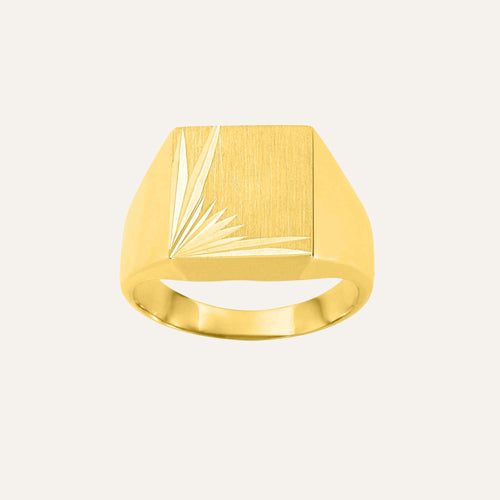 Chevalière Carré brossée Homme en or Jaune 9K Bague Robez Masson 