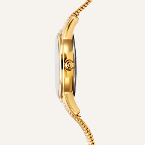 Montre Festina Femme F20495/1 en Acier Femme Festina 