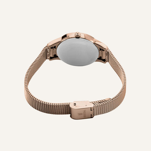 Montre Festina Femme F20496/1 en Acier Femme Festina 