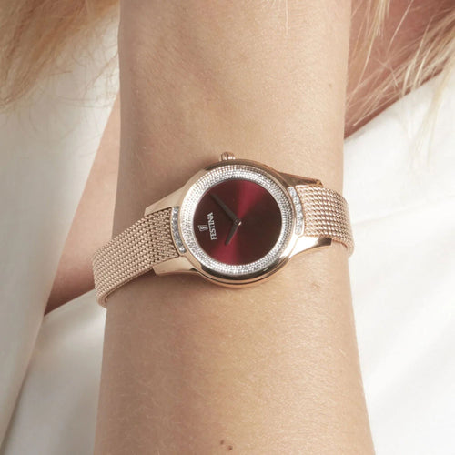 Montre Festina Femme F20496/1 en Acier Femme Festina 