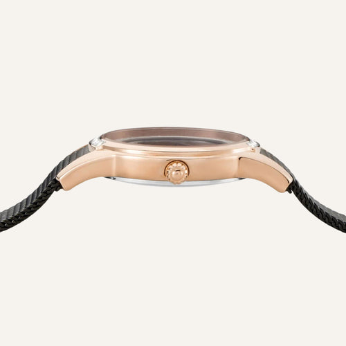 Montre Festina Femme F20496/2 en Acier Femme Festina 