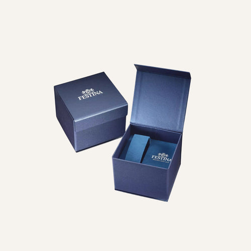 Montre Homme FESTINA The Originals F20663/2 Montres FESTINA 